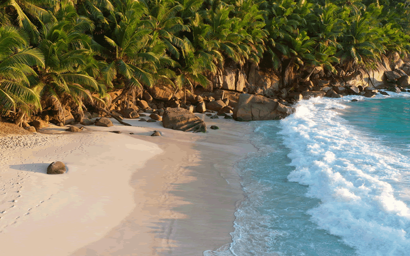 Learn more about Seychelles